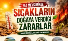 “Doğanın İhtiyaçlarını Görmezden Gelemeyiz”