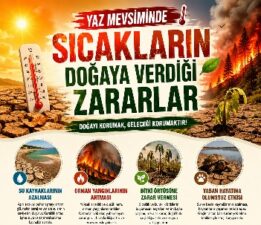 “Doğanın İhtiyaçlarını Görmezden Gelemeyiz”
