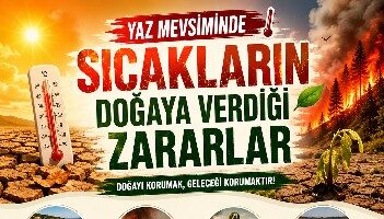 “Doğanın İhtiyaçlarını Görmezden Gelemeyiz”
