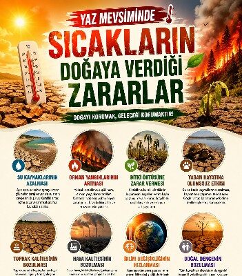 “Doğanın İhtiyaçlarını Görmezden Gelemeyiz”