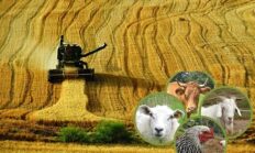“Çiftçi Üretiyor, Kazanan Başkaları Oluyor”