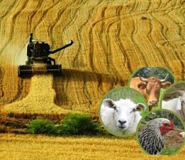 “Çiftçi Üretiyor, Kazanan Başkaları Oluyor”