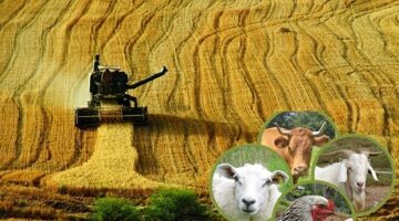 “Çiftçi Üretiyor, Kazanan Başkaları Oluyor”