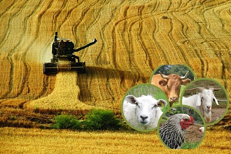 “Çiftçi Üretiyor, Kazanan Başkaları Oluyor”