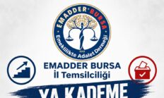 EMADDER: “Kademe Verilmezse Sandıkta Hesap Sorulacak”