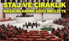“Meclis Artık Mağdurların Sesine Kulak Vermeli!”