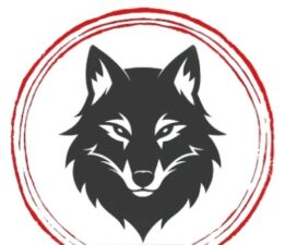 Sahanın En İyisi Belli Oldu… BörüTürk Medya’dan Sezon Finaline Yakışan Dev Organizasyon