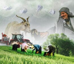 “Besicilerimizin Emeği Türkiye’nin Gıda Güvencesidir”