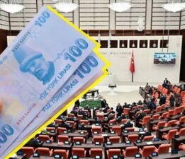 Yeniden Refah Partisi’nden SİDEMİR İçin TBMM Hamlesi! “İşçilerin Maaşı da Emekliliği de Gasp Edildi”
