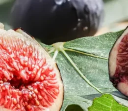 “Ürünümüz dalında değil, rant düzeninde kaybediliyor”
