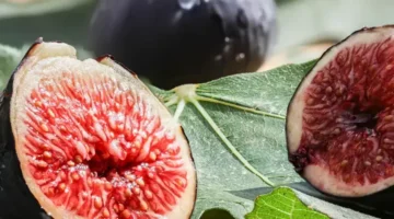 “Ürünümüz dalında değil, rant düzeninde kaybediliyor”