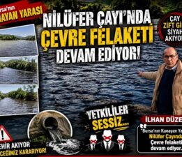 Karacabey’de Nilüfer Deresi İçin Yıllardır Süren Mücadele