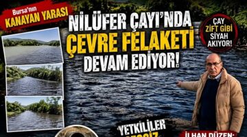 Karacabey’de Nilüfer Deresi İçin Yıllardır Süren Mücadele