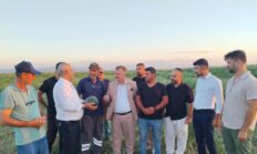 Bursa’da çiftçi isyanda! Yerli karpuz tarlada çürümeye terk edildi