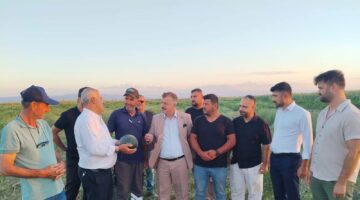 Bursa’da çiftçi isyanda! Yerli karpuz tarlada çürümeye terk edildi