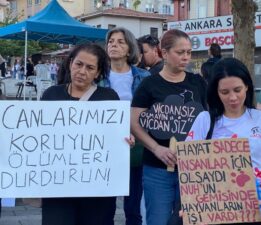 Bursa’da Hayvan Hakları İçin Yeni Yapılanma