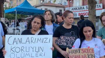 Bursa’da Hayvan Hakları İçin Yeni Yapılanma