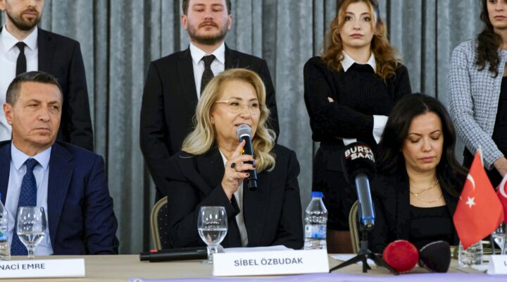 “Sorunları Çözmek İçin Geliyoruz”