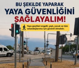 Göl Yolu ve İznik Işıkları İçin “Yaya Güvenliği” Çağrısı