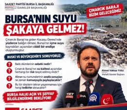 Saadet Partisi’nden Kocasu Deresi’nde balık ölümleri için çağrı