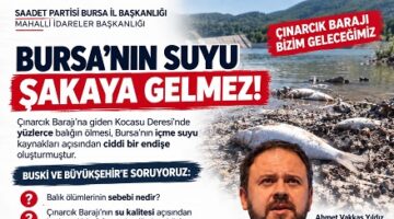 Saadet Partisi’nden Kocasu Deresi’nde balık ölümleri için çağrı