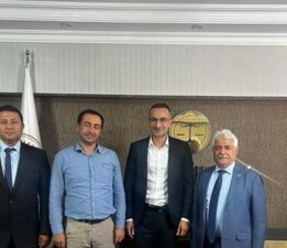 Veteriner Hekimlerin Fiili Hizmet Zammı Talebi Yargıya Taşındı: “Biz Sağlık Hizmeti Veriyoruz”