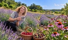 Nilüfer’de Şifanın Bahçesi: 60 Çeşit Tıbbi Aromatik Bitki Aynı Bahçede