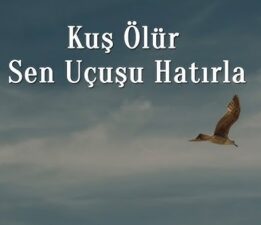 “Kuş ölür, sen uçuşu hatırla”