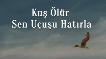 “Kuş ölür, sen uçuşu hatırla”