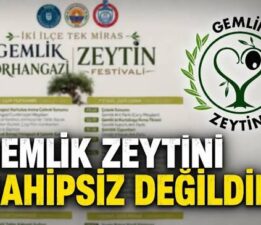 Orhan Karaduman’dan Gemlik Zeytini Festivali İçin 12 Maddelik Çözüm Önerisi