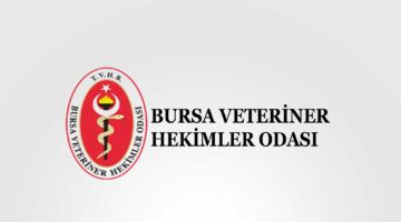 “İki farklı grup değil, tek ekip olarak çalışacağız”
