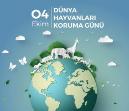 Kazım Gezer’den 4 Ekim Hayvanları Koruma Günü’nde belediyelere eleştiri