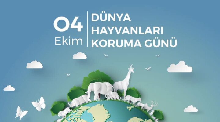 Kazım Gezer’den 4 Ekim Hayvanları Koruma Günü’nde belediyelere eleştiri