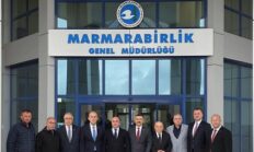 Selçuk Türkoğlu’ndan Marmarabirlik’e Zeytin Üreticisi Ziyareti: “Üreticimiz Emeğinin Karşılığını Almalı”