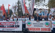 Tüm Emeklilerin Sendikası Yenişehir Şubesi, Ali Şekeroğlu için Bursa’da alanlara çıktı