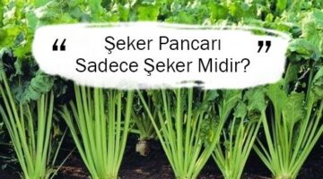 İYİ Partili Hasan Burhan: “Şeker pancarı yalnızca şeker üretimi için değil, enerji ve hayvancılık için de stratejik bir üründür”