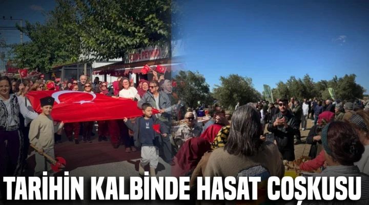 Alçıtepe’de Kirte Zeytin Hasat Festivali düzenlendi